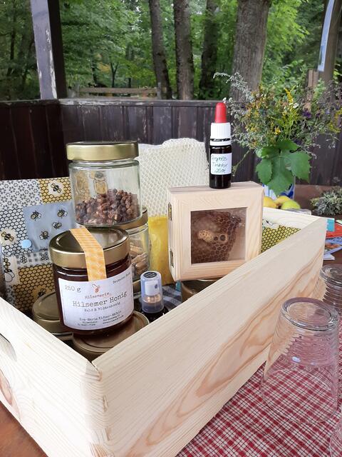 Bei erlebnisreichen Workshops mit der Imkerin im Zoo erfahren die Teilnehmer Spannendes und Wissenswertes rund um die Entstehung, Gewinnung und den Nutzen von Bienenprodukten. | Foto: 
Foto: Elfner-Häfele