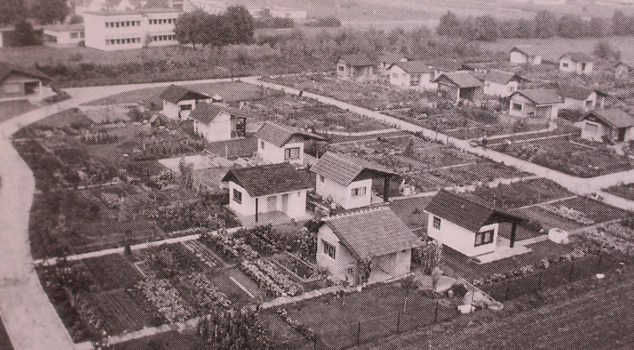 Kleingartenverein Früh Auf Von 1920 Ev