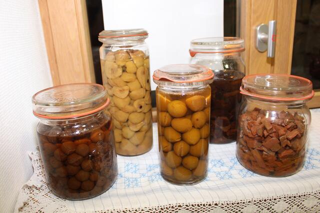 Ob das Eindunstobst in den Weck-Gläsern aus den 1960er Jahren noch genießbar ist? 