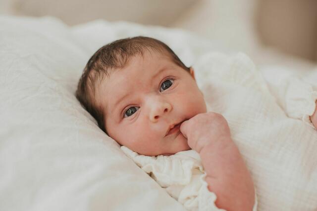 Josephine Zimmermann