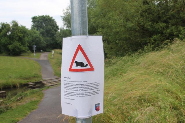 Achtung: Biber können bissig sein. 