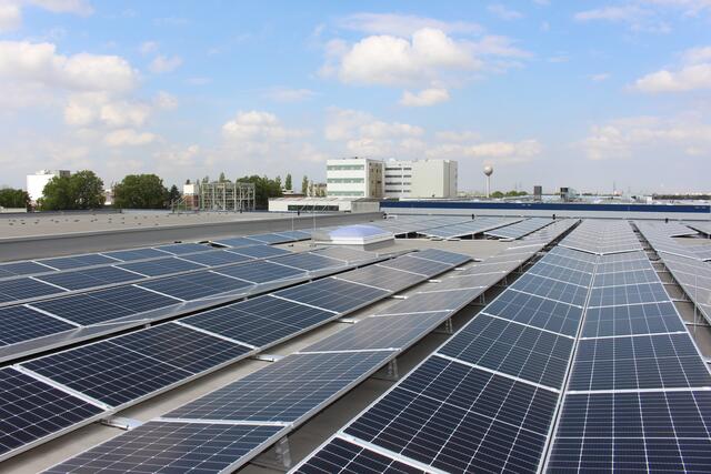 In Ladenburg wurde auf dem Dach des Logistikunternehmens Nesta die größte Dach-PV-Anlage Deutschlands montiert. 