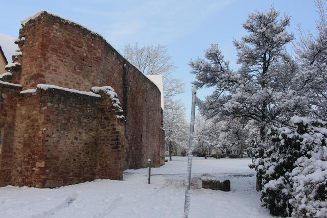 Wintereindrücke am Graben....