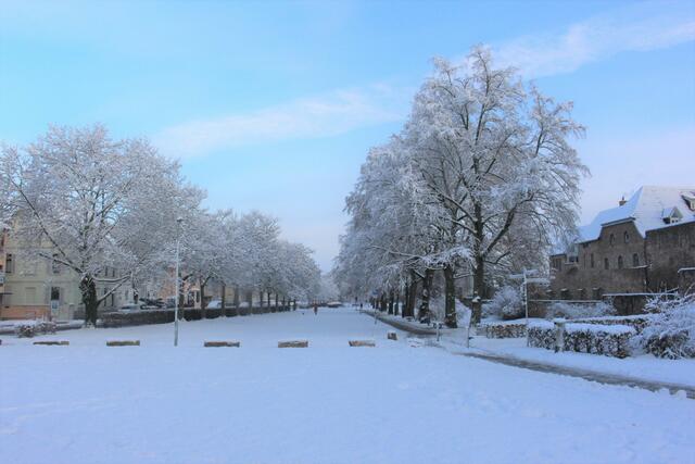 Blick auf die winterliche Bleiche. 