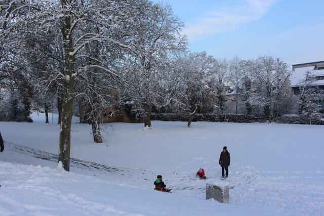 Schlittenfahrt im Benzpark