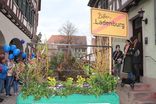 Biber-Burg statt Ladenburg. 