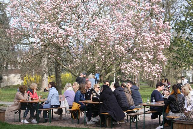 Zur Pause während des Stöberns machten es sich die Besucher unter der aufblühenden Magnolie bequem.