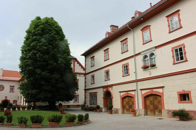Das Paternioner Schloss ist der touristische Anziehungspunkt in der Partnerstadt.