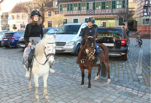 Mayla und Mia sattelten für den Friseurtermin ihre Ponys.  | Foto: Axel Sturm