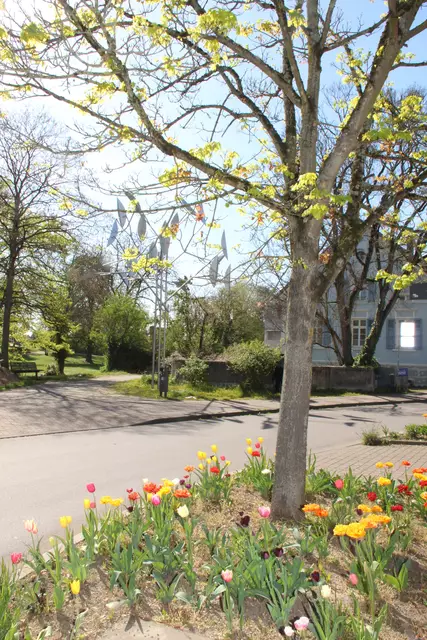 Blütenpracht vor dem Kissel-Kunstwerk.