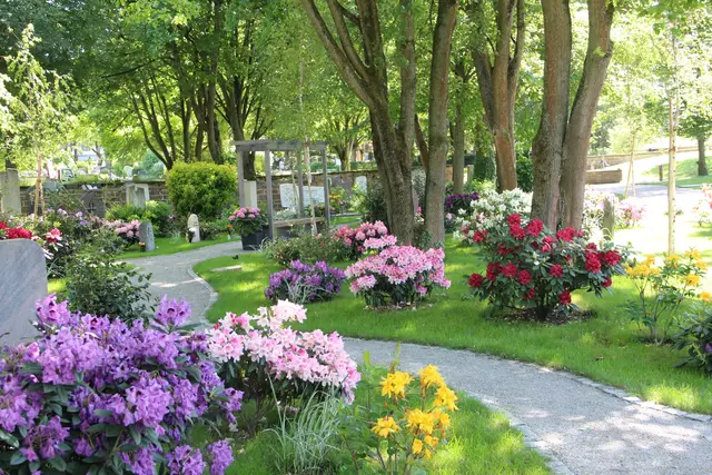 Rhododendren-Liebhabern sei ein Besuch des Ladenburger Friedhofes empfohlen.