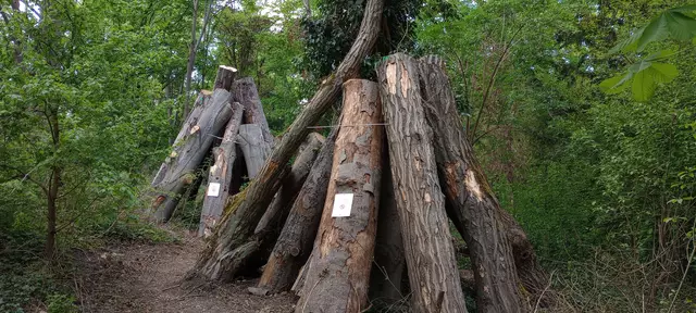 Solche Totholzpyramiden sind im Schlossgarten Schwetzingen zu finden. | Foto: SSG