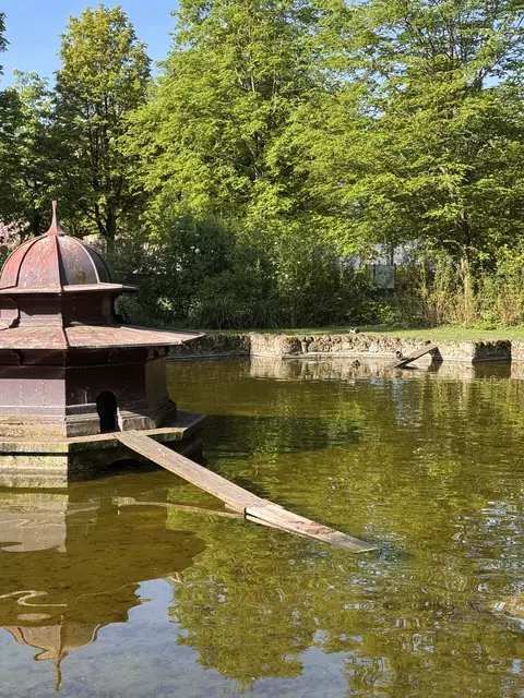 Der Ententeich im Schlossgarten. | Foto: SSG