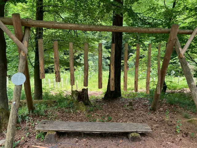 Am renovierten Xylophon kann jeder seine persönliche Melodie anstimmen. | Foto: Foto: Landratsamt Rhein-Neckar-Kreis