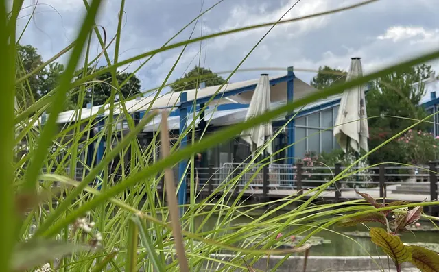 Außenansicht des grünen Klassenzimmers. | Foto: Stadtpark