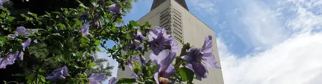 Foto: Andreas Pollack