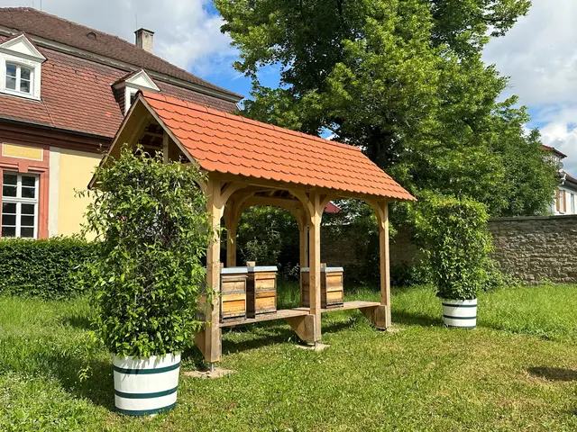 Hier im Bienenhaus fühlen sich die Insekten wohl. | Foto: Christina Ebel