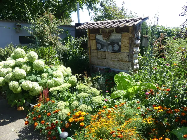  Im Garten gibt es auch ein großes Insektenhotel. | Foto: Schatz