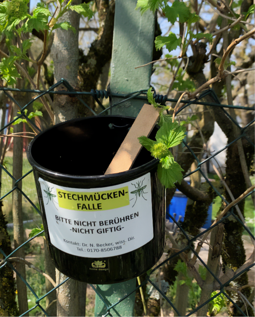 Eiablagefalle mit Eiablagestäbchen | Foto: /Foto: Stöferle