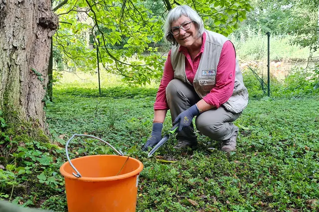 Beetpatin und Ehrenamtliche im Freiwilligenteam des Zoo Heidelberg Petra Dietel bei der Beetpflege am Flamingosee. | Foto: /Foto: Zoo Heidelberg
