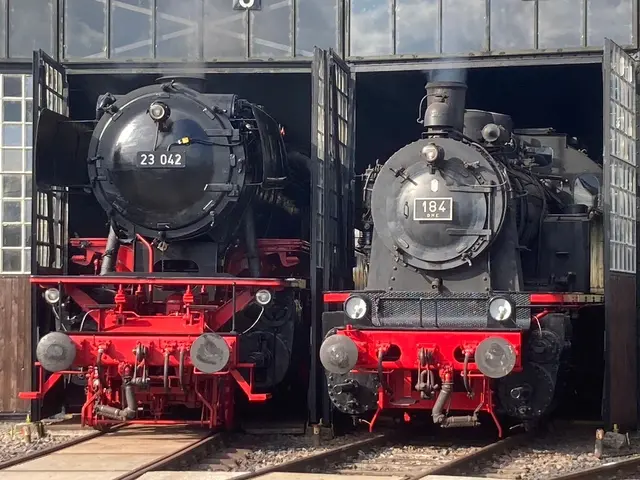 Beide Dampflokomotiven werden zum Fest „unter Dampf“ präsentiert, nachdem sie in den vergangenen Wochen bei befreundeten Eisenbahnvereinen auf der Dreiseenbahn im Schwarzwald und auf dem Kuckucksbähnel in der Pfalz ausgeholfen hatten.
