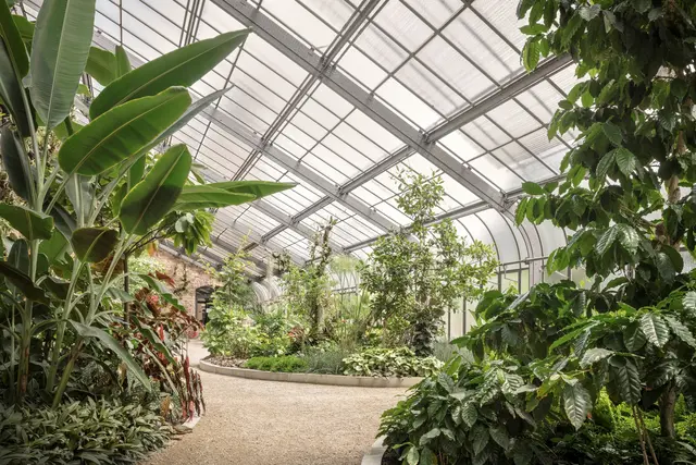 Der Botanische Garten in Karlsruhe lädt zu Führungen ein. | Foto: SSG