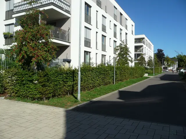 Unkompliziert: Hecken. Wie zum Beispiel hier in den Martinshöfen - und auch Rotschwänze, die sich munter darin verstecken