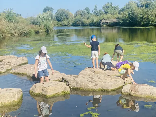 Entdecker-Vormittag für Kinder an der Fischkinderstube | Foto: NABU Edingen-Neckarhausen