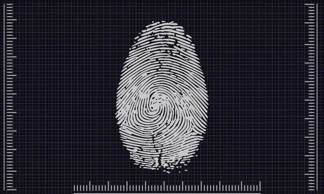 Digital erfasster Fingerabdruck | Foto: TheDigitalArtist, pixabay