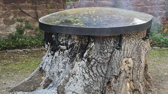 Unbekannte zündeten den Baumstumpf am Treff an der alten Eiche im Schlosspark Neckarhausen an | Foto: FWEN