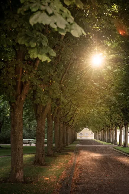 Auch in den Herbstferien lohnt ein Besuch im Schloss Bruchsal. | Foto: SSG