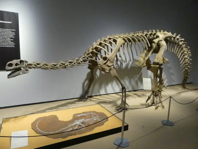 Die Saurier laden an Halloween zum gruseligen Besuch ein. | Foto: Schatz