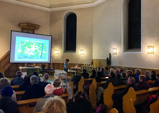 Heimische Wildpflanzen als Teil der Lösung zur Bekämpfung der Klimakrise und des Insektensterbens | Foto: NABU