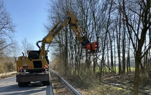 Die drei Straßenmeistereien im Rhein-Neckar-Kreis schneiden die Gehölze entlang von Bunds-, Landes- und Kreisstraßen.  | Foto: RNK