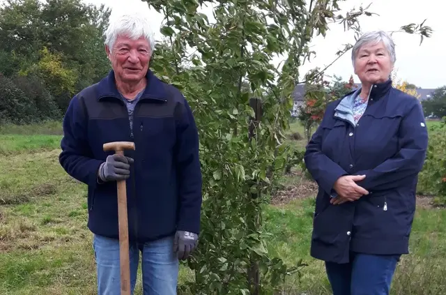 Die Kornelkirsche, die im Hausgarten zu groß geworden war, hat nun einen neuen Platz im Patenwald erhalten | Foto: Allmende