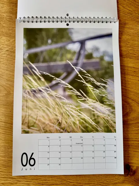 Das Juni-Motiv – eines von 12 für Ladenburg typischen Fotomotiven, die die Ladenburger und Ladenburgerinnen kennen und lieben.