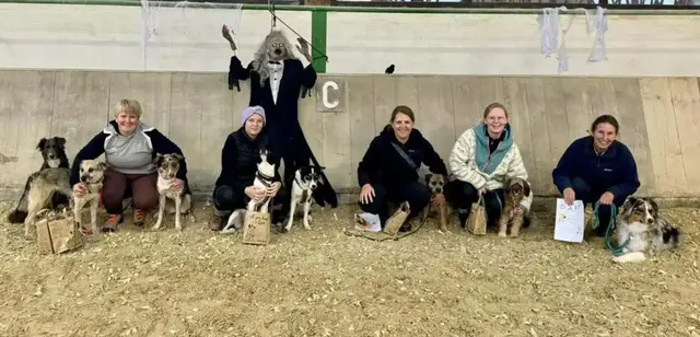 Unsere Teilnehmer am Halloween Spaß-Agility-Fun-Turnier (SAFT)  | Foto: HSV