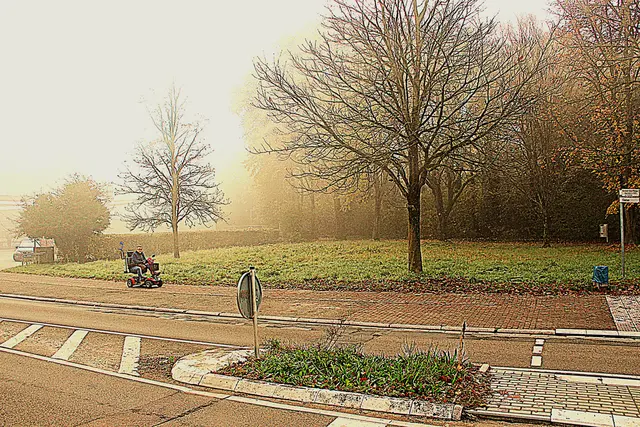 Auf diesem Grundstück am Rande des Waldparks entsteht ein Mehrfamilienhaus mit 11 Wohnungen. | Foto: Axel Sturm