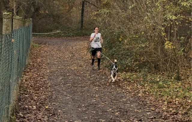 Alexandra Jakel mit ihrem Hund Flintstone of Silent Storm im Wettbewerbseinsatz | Foto: VfH