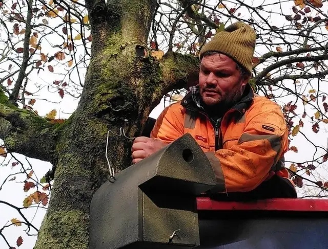 In diesem Nistkasten könnte im kommenden Frühjahr eine Kohlmeise einziehen. | Foto: BMA