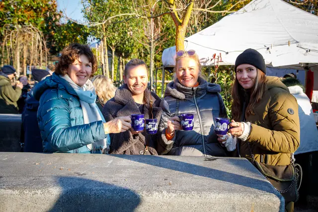 Die vier Damen aus Bensheim kamen extra wegen der vorweihnachtlichen Atmosphäre (und wahrscheinlich auch wegen dem leckeren Glühwein) nach Ladenburg.
