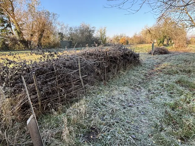 Schutzflächen für Igel erhalten, wie hier in einem Gartengrundstück in der Gemeinde | Foto: NABU