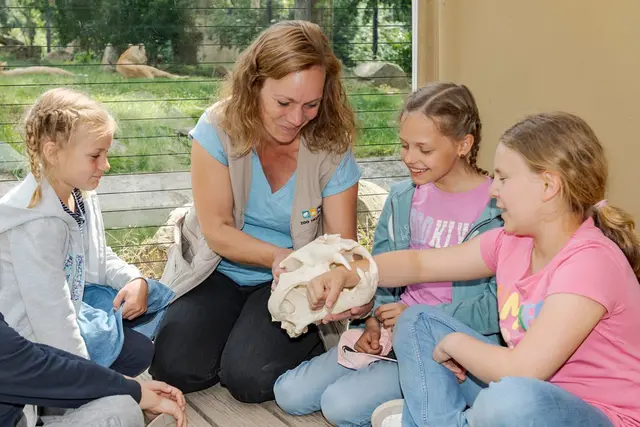 Ein abwechslungsreiches Jahr 2026 mit der Zoo-Akademie – das verspricht das neue Jahresprogramm mit vielen Rundgängen, Ferienprogrammen und Workshops.  | Foto: 
Foto: Katrin Raisch/Zoo Heidelberg
