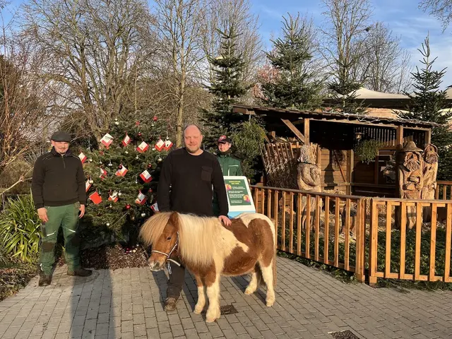 Die Gärtner des Teams um Moritz Ihling, die die Krippe aufgebaut haben und Tierpfleger Norman Jacob, der die Idee zum Wunschbaum der Tiere hatte sowie Pony Robert, der sich über einen Longiergurt freuen würde. | Foto: zg