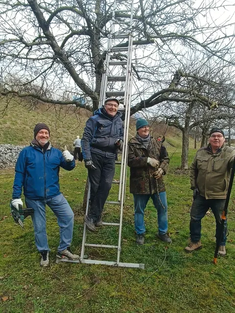 Die Fachleute vom OGV zeigten den richtigen Schnitt von Hochstämmen. | Foto: -zg.
