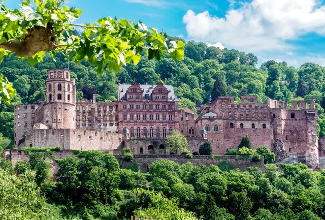 Die Schlösser in der Nachbarschft, wie hier Heidelberg, beteiligen sich an der Aktion. | Foto: SSG