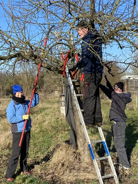 Letztes Jahr, gleiche Zeit, gleicher Ort - Gemeinsamer Baumschnitt auf der Streuobstwiese der Bacherlebnisstation (V.L.: Edith Quennet, Peter Petersen, Lennard Quennet | Foto: /Foto: Michael Janke