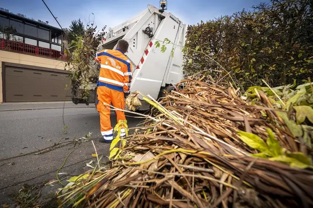 Gemäß Satzung dürfen einzelne Stücke des holzigen Grünschnitts eine Länge von 1,50 Metern, einen Durchmesser von maximal 20 Zentimetern sowie ein Gewicht von höchstens 25 Kilogramm nicht überschreiten.             Foto: AVR Kommunal AöR