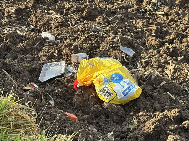 An der Friedrichsfelder Straße. Solche Arrangements finden sich dort alle paar Meter. (BJ)