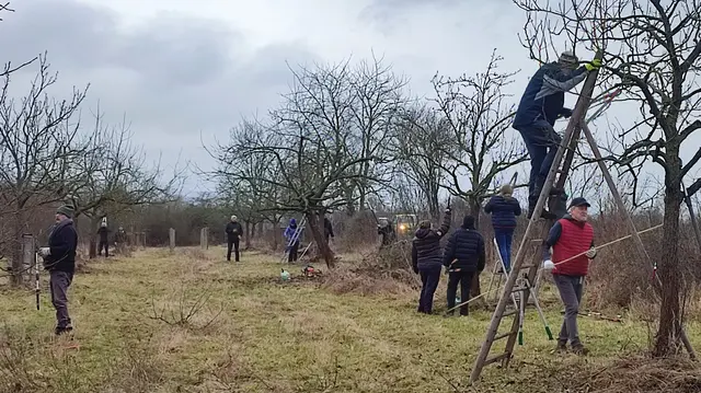 Engagiertes Miteinander beim diesjährigen Baumschnitt der Streuobstwiese auf der Bacherlebnisstation | Foto: Michael Janke